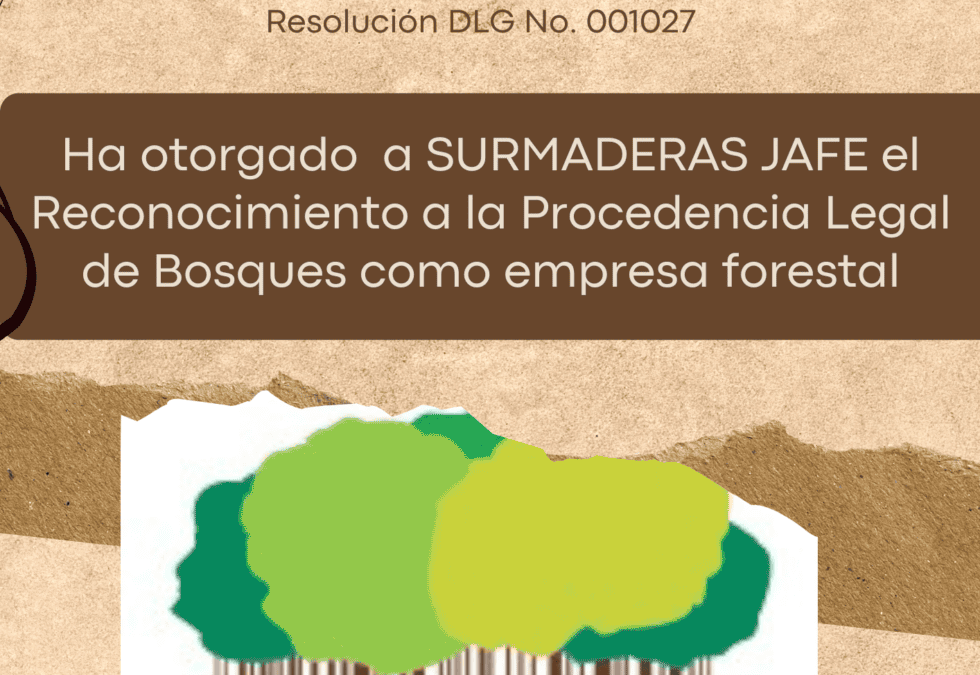 RECONOCIMIENTO DE LA MADERA LEGAL Y LA RESPONSABILIDAD DEL CONSUMIDOR