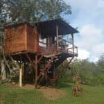 ¿QUE VENTAJAS TIENE UNA CASA PREFABRICADA EN MADERA?