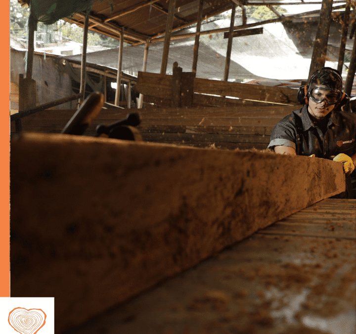 ¿Cómo se conocen las empresas de madera en Colombia?
