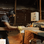 La importancia de elegir madera